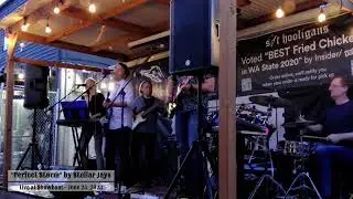 Perfect Storm by Stellar Jays (Clip) - Live @ Showboat