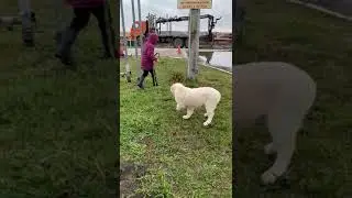 Илай с Дачной, 3 мес