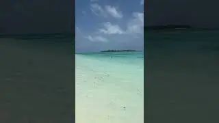 IMG 0063