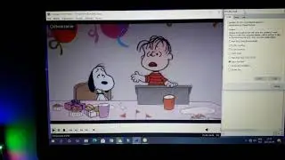 Snoopy Come Home has BSOD