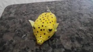Peixe-Cofre-Amarelo 🐟🐳🐡🐠