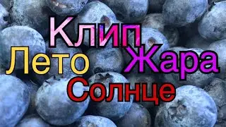 Клип ЛЕТО ,СОЛНЦЕ,ЖАРА
