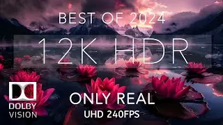 Best of EARTH in 12K HDR 240fps Dolby Vision™