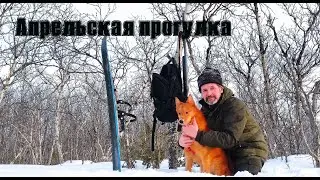 Апрельская прогулка