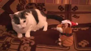Кот Кузя и Хомячок Повторюшка