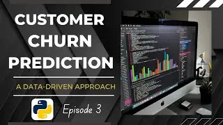 Predicting Churn (Ep 3): Statistical Analysis (Univariate) | A Step-by-step Guide 🔥