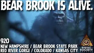 Bear Brook is ALIVE! | New Hampshire | Bigfoot Society 920