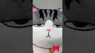 Мягкая игрушка Толстый кот