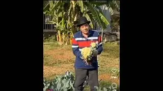 Dharam ji 