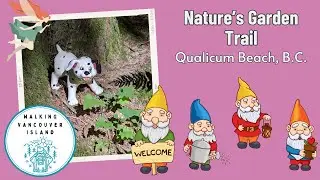 Whimsical Forest Secrets & Named Tree Stumps?! Exploring Nature's Garden Trail in Qualicum Beach 🌿🪵