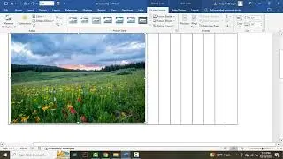 How to align 9 images in Word