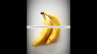 Fatos diversos que certamente você não sabia #shorts