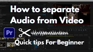 Premiere Pro Beginner tips I How to separate audio from video