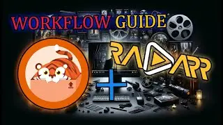 Radarr + Prowlarr Workflow Guide