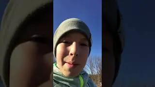 Очищаем лес от мусора