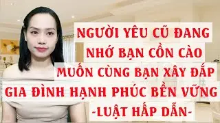 Người yêu cũ đang nhớ bạn cồn cào Muốn cùng bạn xây đắp gia đình hạnh phúc bền vững   Luật hấp dẫn