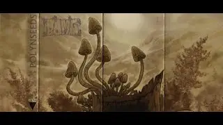 Bomg  —  Polynseeds (2013)   [Full Album]