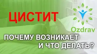 Что делать при цистите