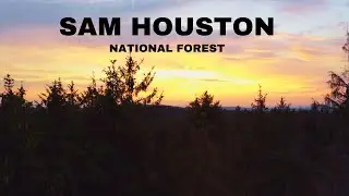 Lone Star Trail | Sam Houston National Forest