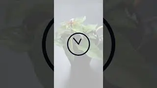 Automate Your Plant Care: Moisture Level Monitoring with IFTTT and ChatGPT Generated Code