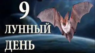Рожденные в 9 лунный день