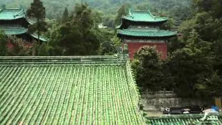 Dolphin Embassy. The Flight of Dragon.