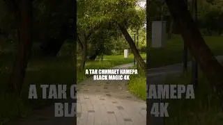 Сравнение IPHONE 13 vs BMPCC 4K  #шортс #рекомендации #кино #рилс #bmpcc4k #айфон