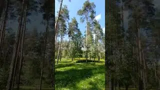 КРАСОТА ЛЕС НЕБО