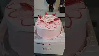 #japan #kenzokuntv                                                 BIRTHDAY CELEBRATION IN JAPAN