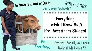 Things I Wish I Knew As A Pre-Vet Student | Before Vet School Tips
