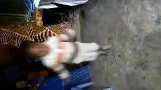 Mhlafikamina kuyochitheka ishebo kusala amasaladi