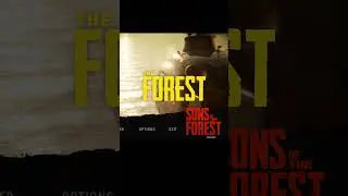 KONAMI CODE in SONS OF THE FOREST - 