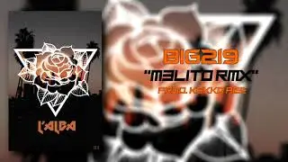 Big219 M3L1T0 RMX (Prod Kekko Pee)