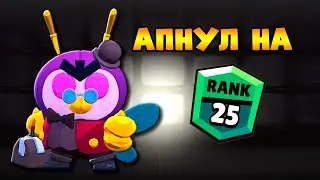 Мистер ПИ 25 ранг / Brawl stars / Mr Pi BRAWL STARS