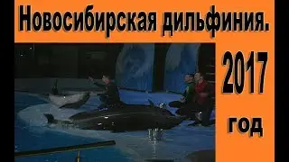 Новосибирская ДИЛЬФИНИЯ 2017/Novosibirsk DELFINIA 2017.