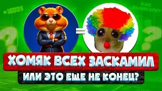 HAMSTER KOMBAT - ДЕШЕВЫЙ СКАМ! ЧТО ДЕЛАТЬ ЕСЛИ ПОЛУЧИЛ МАЛО ТОКЕНОВ?! КАК ВЫВЕСТИ ХОМЯКА!