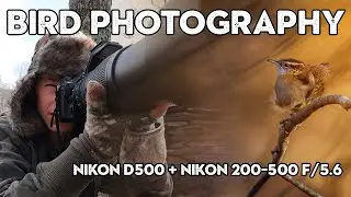 BIRD PHOTOGRAPHY On Location (Nikon D500 + Nikkor 200-500mm f/5.6)