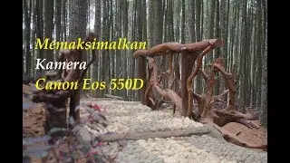 Kamera canon eos 550d + lensa kit!