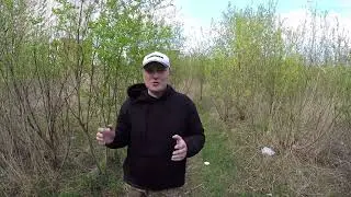 Будет фильм?