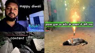 Baby Duck जिंदा हुआ लेकिन पटाखे की वजह से फिर नीचे गिर गया Content । #ytshort #rabbit #rescuepets