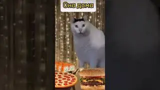 Котики юмор «я в инстаграм vs в жизни» 