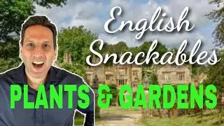 Taking care of plants in English