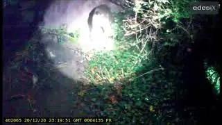 Watch the moment police dog sniffs out keys to stolen motorcycle discarded in bushes