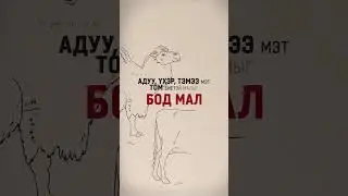 Таван хошуу малын тухай.