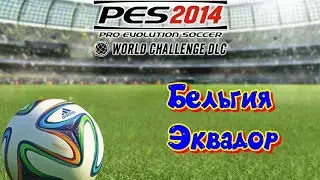 PES 2014 WC.  Belgium - Ecuador