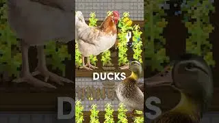 THEY HAVE ARRIVED! 🐤🦆  #indie #gamedev #indiedev