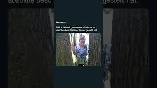 #schulmemes