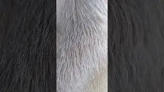 маленький пушистый коврик