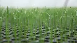 #Videogustidolomitifriulane afilditiere 01