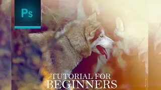 ❣Photoshop CS6 Tutorial